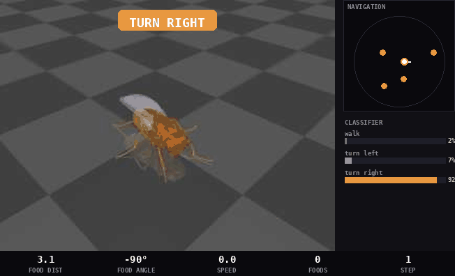 Fly Navigation Demo
